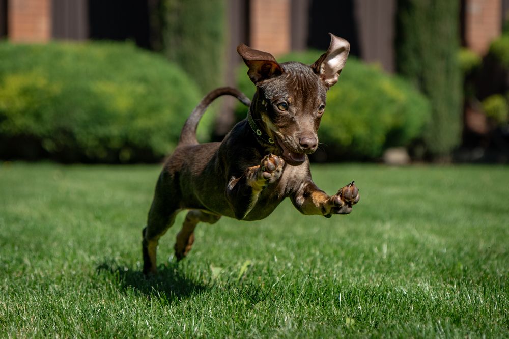 Photograph by Алексей Кремнёв