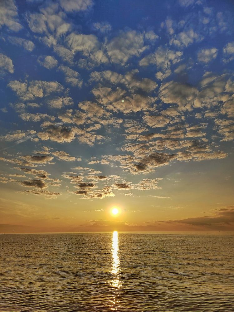 Photograph by Мария Тёмкина