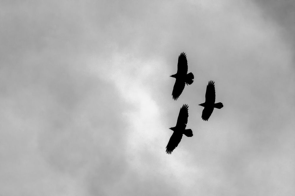 Photograph by Сергей Дишук