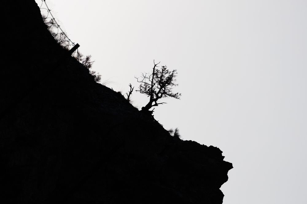 Photograph by Алексей Щупаков