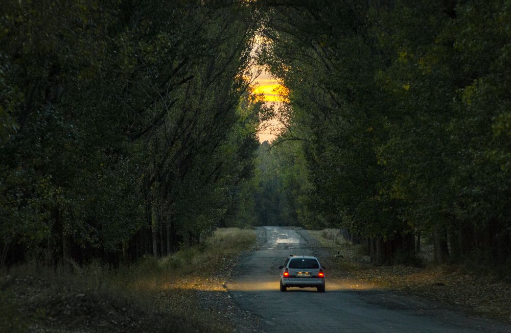 Photograph by Ирина Федорова