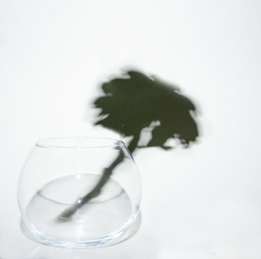 Скоротечность красоты