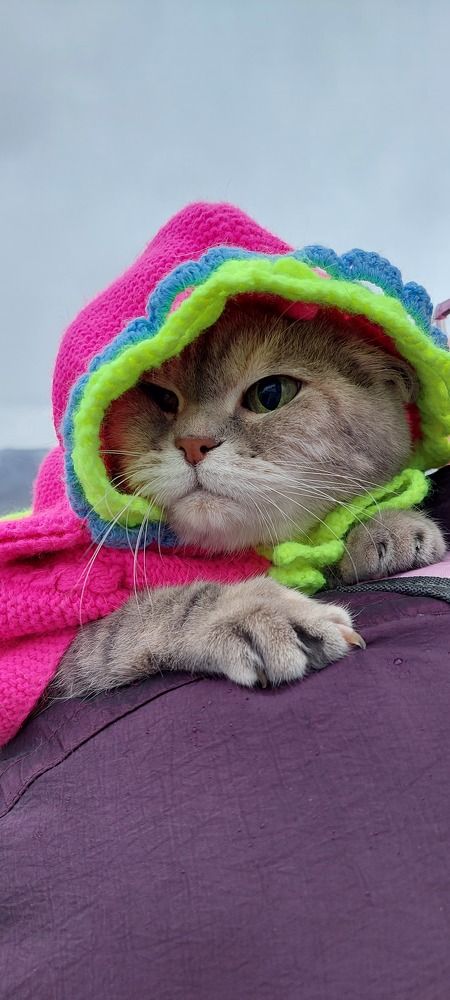 Photograph by Марина Жарикова