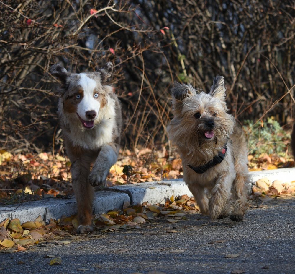 Photograph by Ольга Доловова