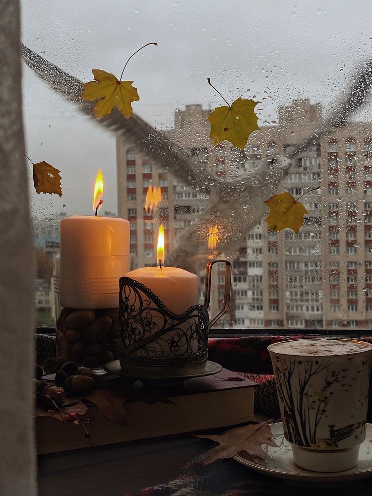 Птица счастья