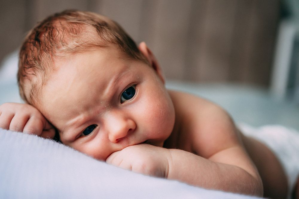 Фотография автора Юлия Анашко