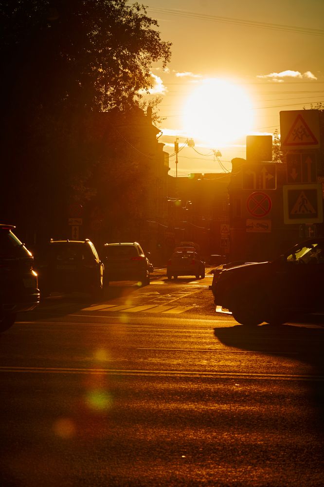 Фотография автора Александр Жданов