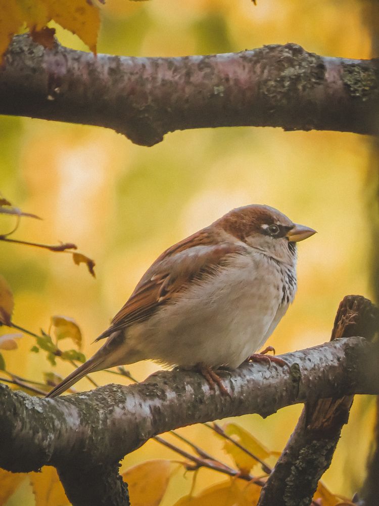 Фотография автора Марина Алексеевская