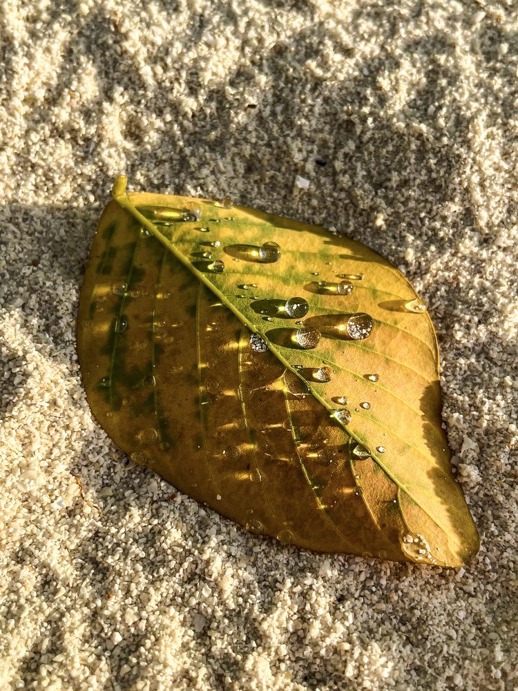 Photograph by Виктория Санкина