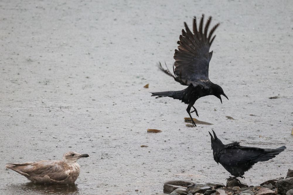 Photograph by Екатерина Якель