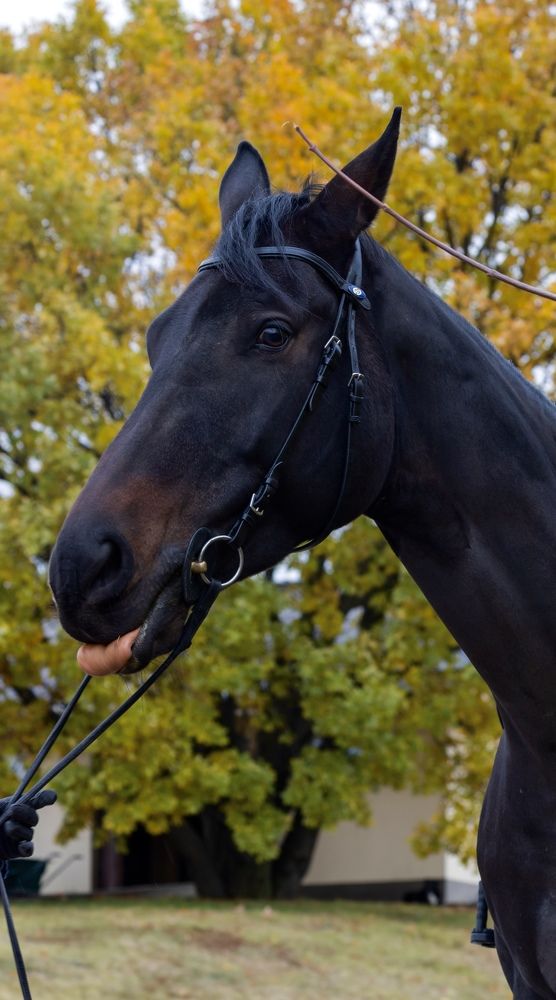 Photograph by Наталия Иванникова