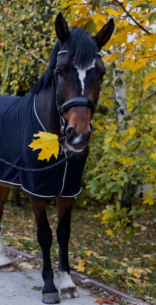 Photograph by Наталия Иванникова