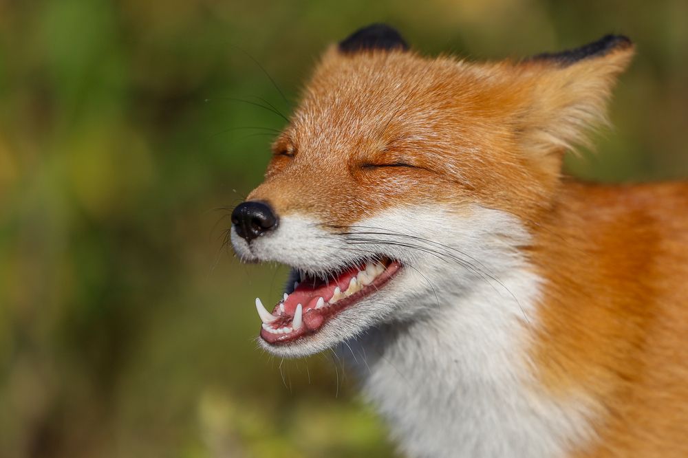 Photograph by Екатерина Якель