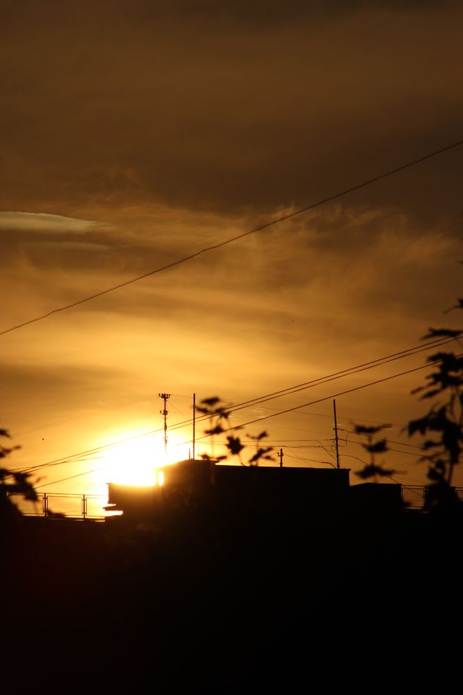 Photograph by Павел Герасимов