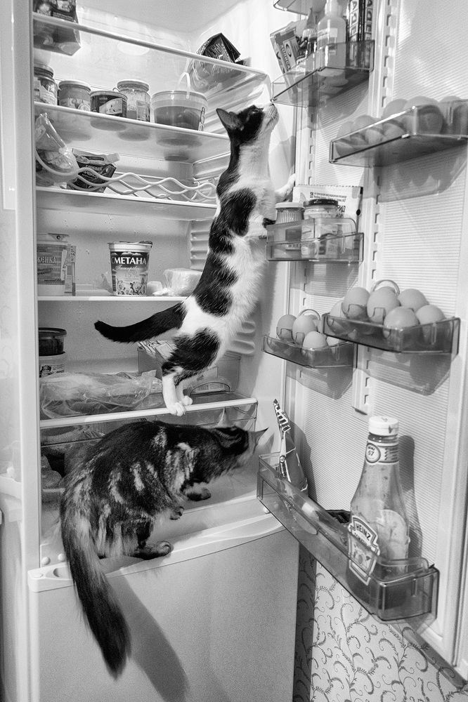 Photograph by Александр Максимов