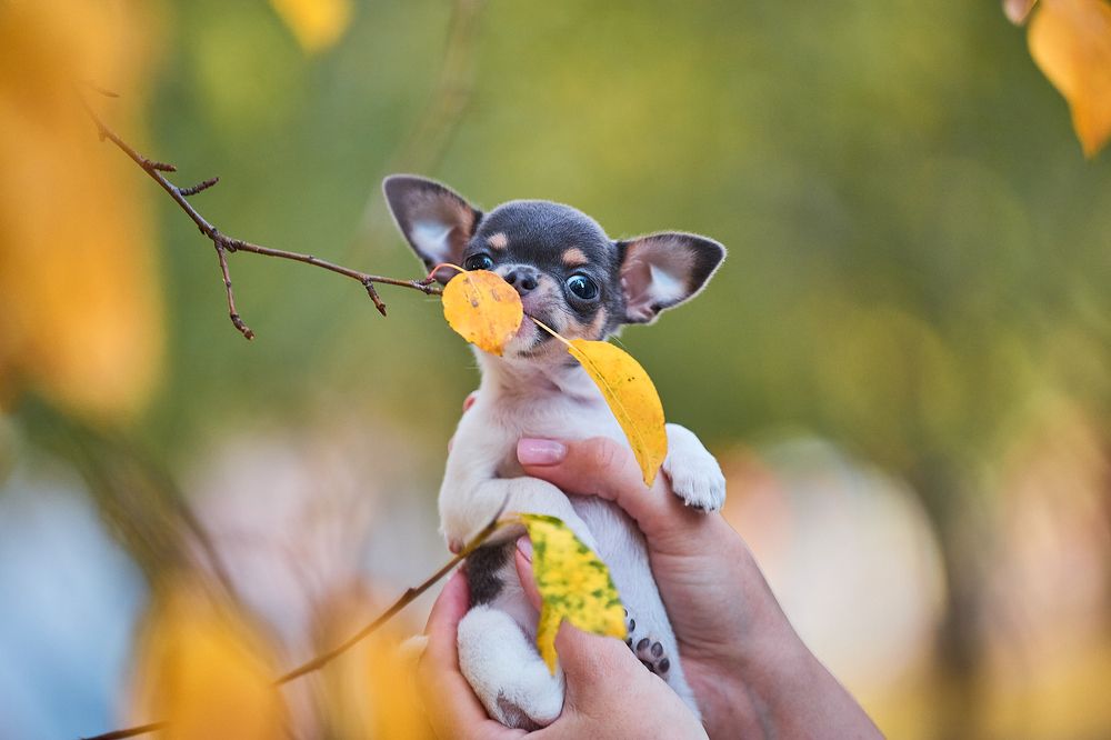 Фотография автора Наталья Новикова