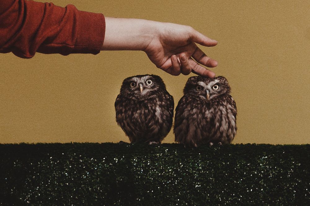 Photograph by Анна Провидение