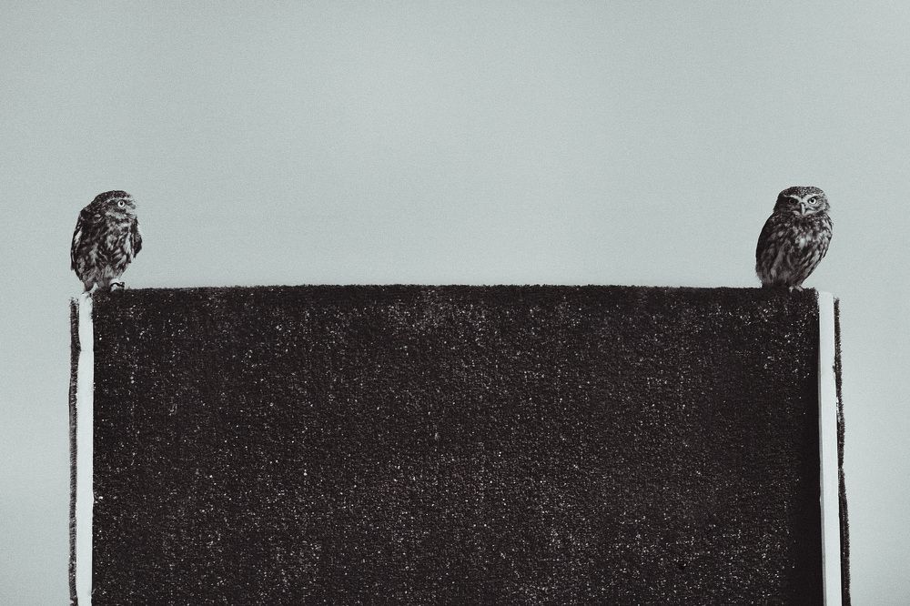 Photograph by Анна Провидение