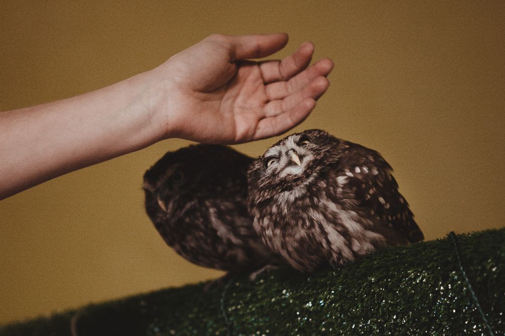 Photograph by Анна Провидение