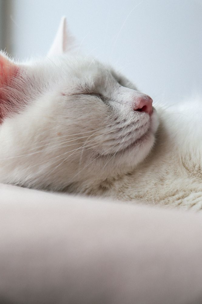 Фотография автора Юлия Гантимурова