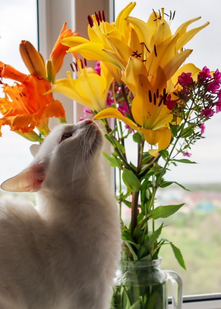 Фотография автора Юлия Гантимурова