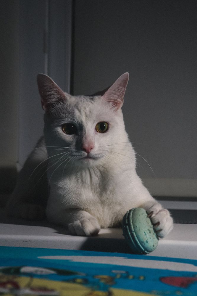 Фотография автора Юлия Гантимурова