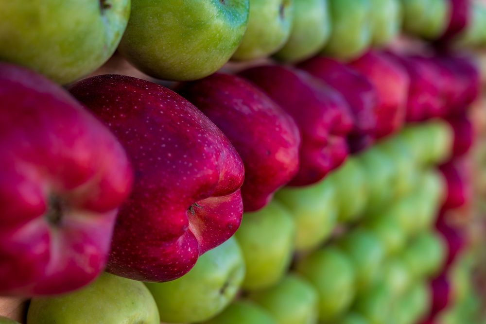 Фотография автора Дмитрий Referee