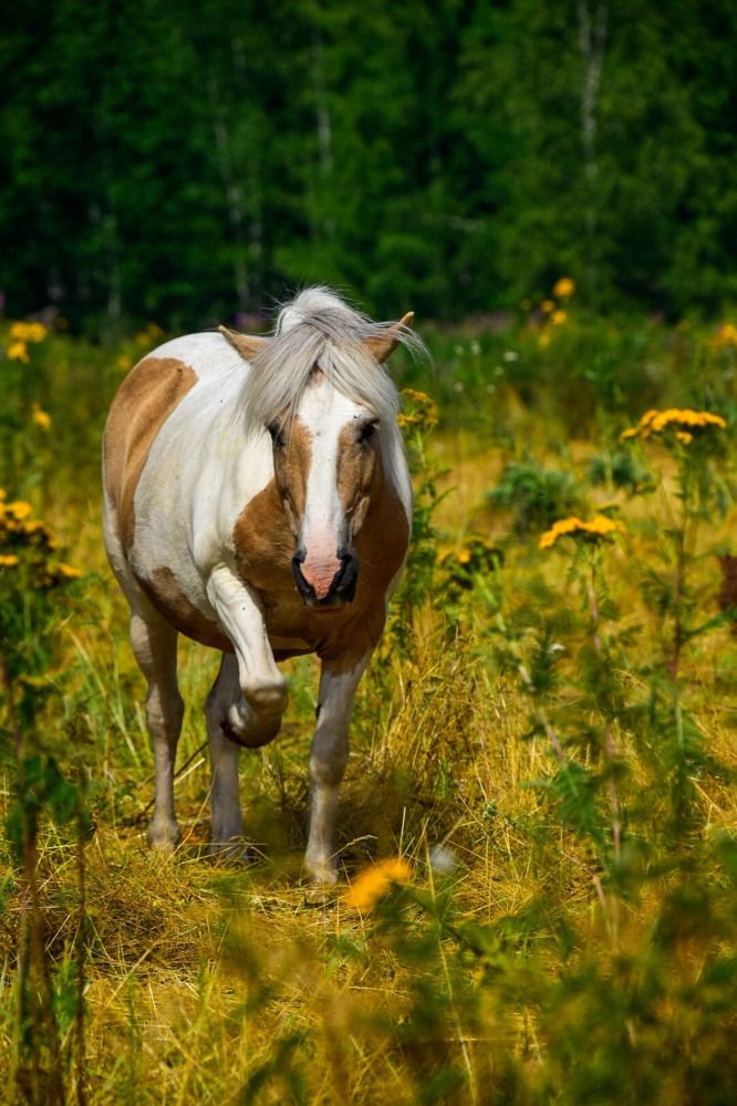 Photograph by Марина Корреа Ластра