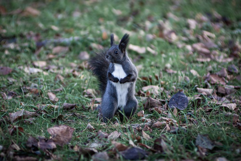 Photograph by Наталья Островцева
