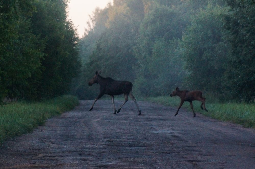 Photograph by Надежда Архипова