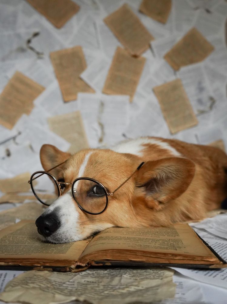 Photograph by Светлана Смирнова