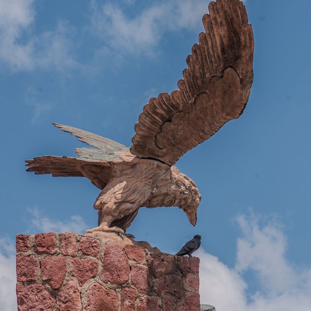 Photograph by Mosqueda Ruben