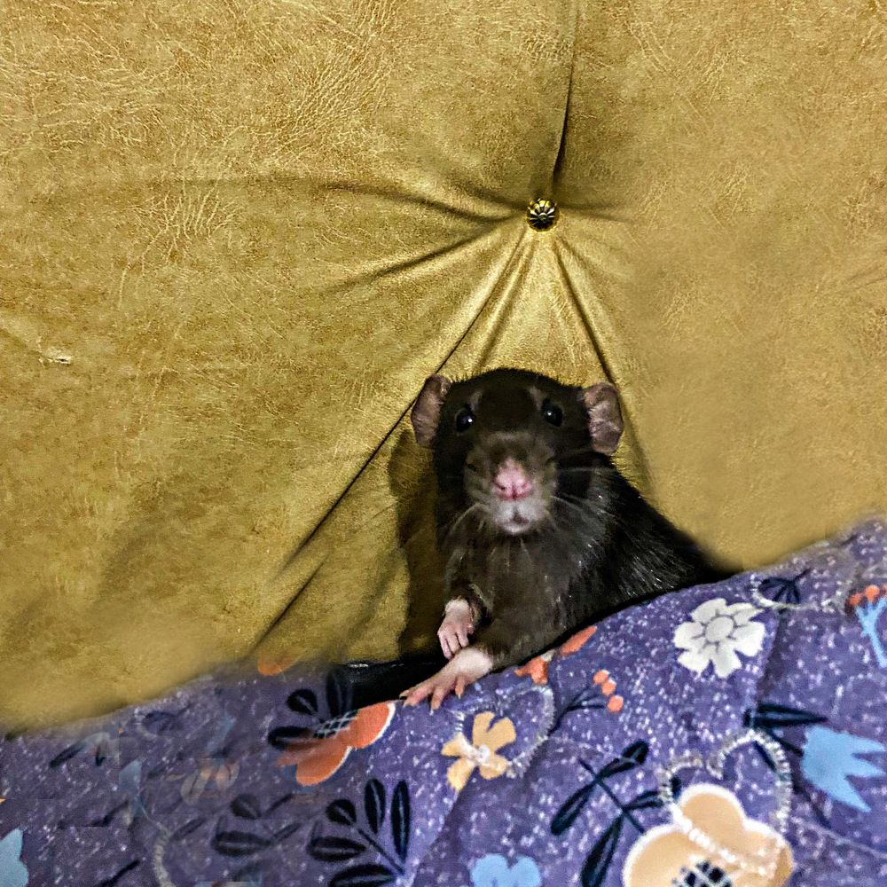 Photograph by Александра Гонтарь