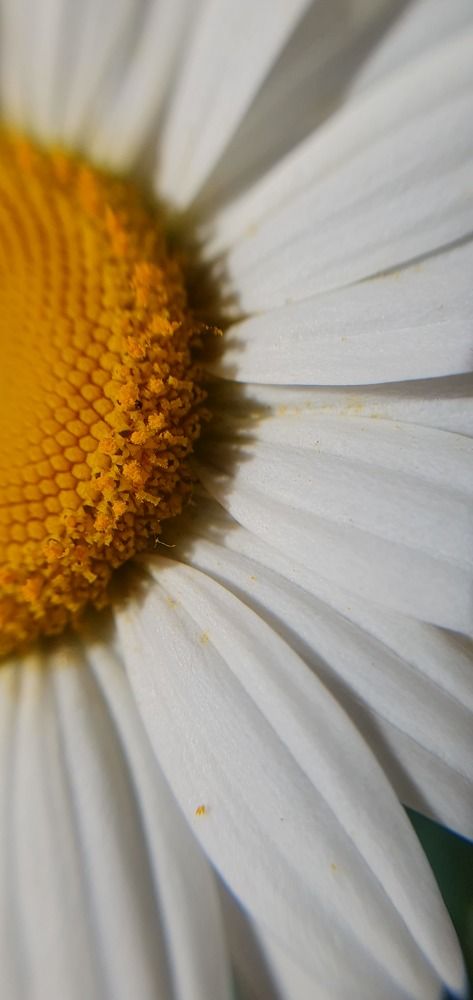 Photograph by Ирина Ульяницкая