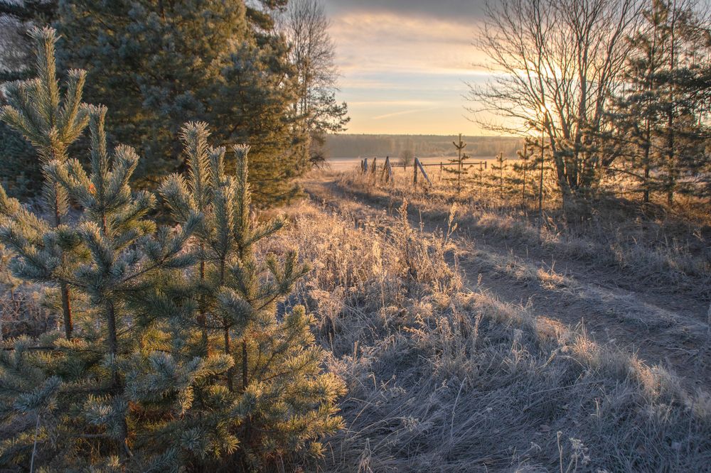 Photograph by Татьяна Романова