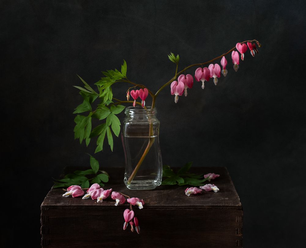 Разбитое сердце