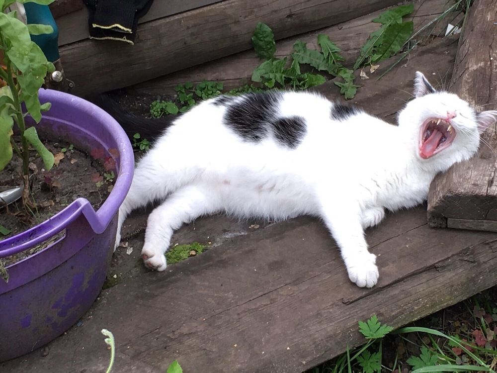 Photograph by Ирина Трембач