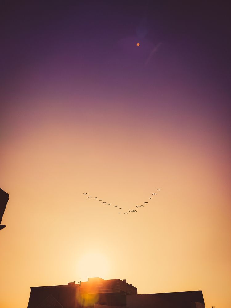 Photograph by Tajudin Shaik