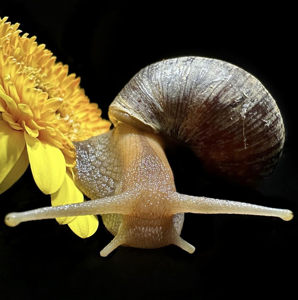 Photograph by Svetlana Rashidova