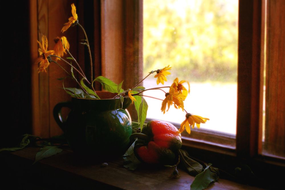 Photograph by Ольга Кочнева