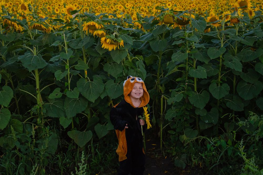 Photograph by Людмила Зяблова