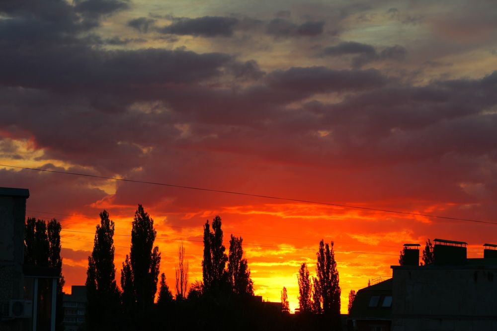 Photograph by Роман Черный