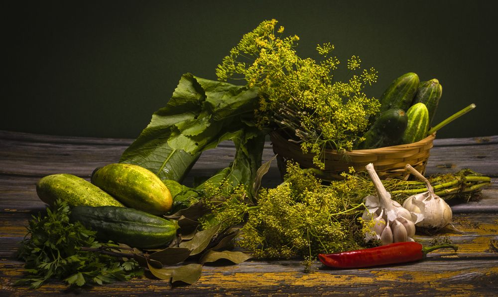 Photograph by Alex Kalpus