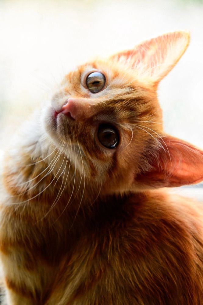 Photograph by Марина Корреа Ластра