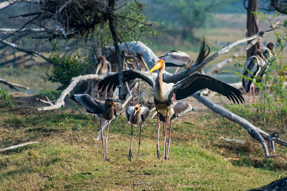 Photograph by Akshat Parashar