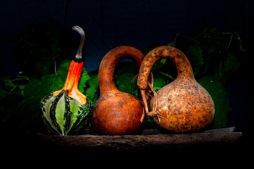 Photograph by Bao Huy Nguyễn