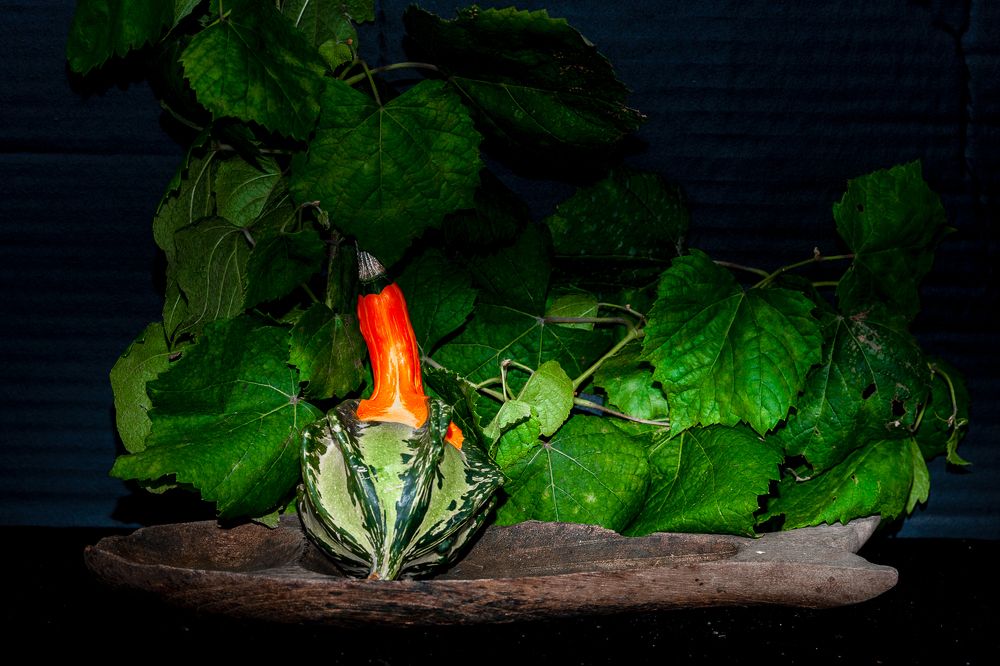 Photograph by Bao Huy Nguyễn