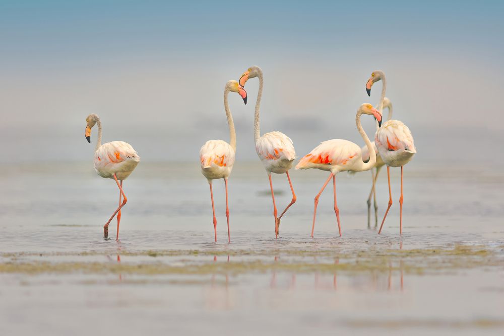 Photograph by G N RAJA