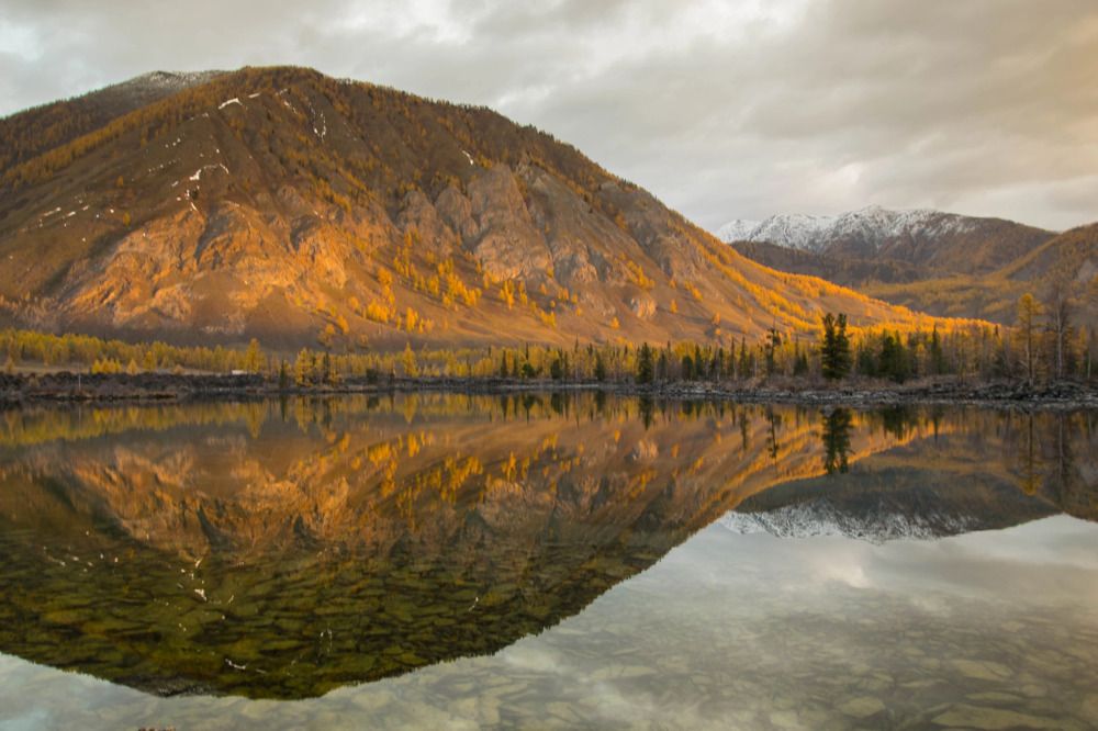 Photograph by Марина Корреа Ластра