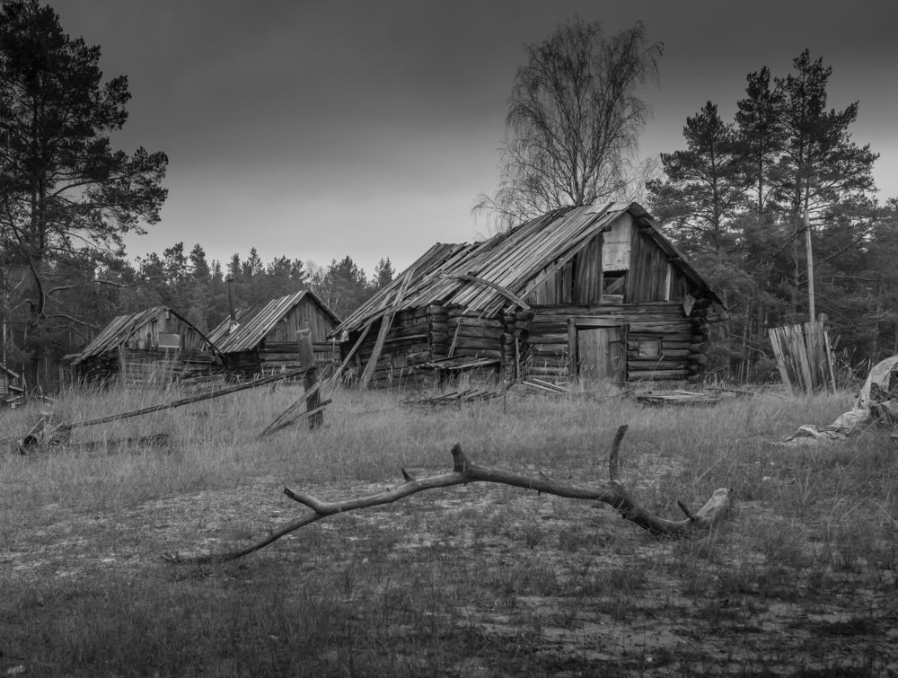 Фотография автора Виктор Руденко